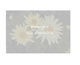 Hydrangea macrophylla Feather ® Royalty Collection
